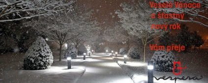 nightSnow4
